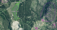 Visor web para las enajenaciones de madera de la administración forestal